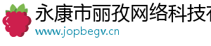 永康市丽孜网络科技有限公司